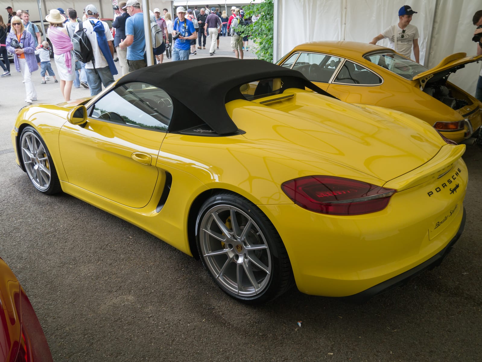 Porsche 981 Spyder rear view