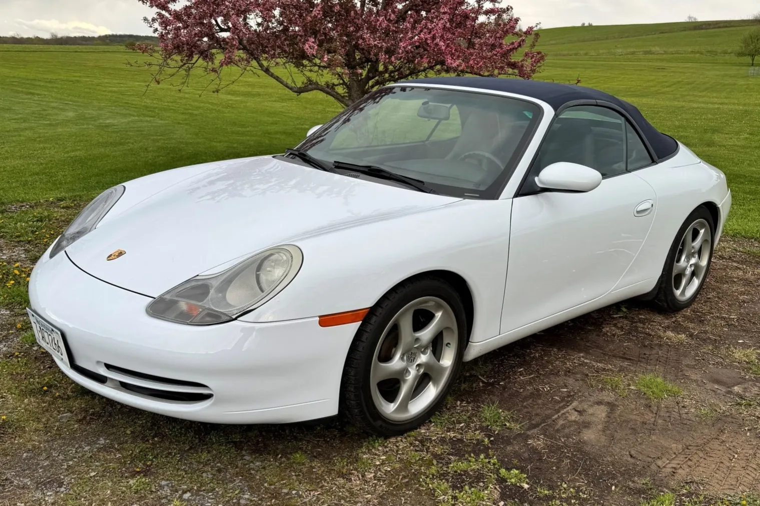 No Reserve: 1999 Porsche 911 Carrera Cabriolet 6-Speed