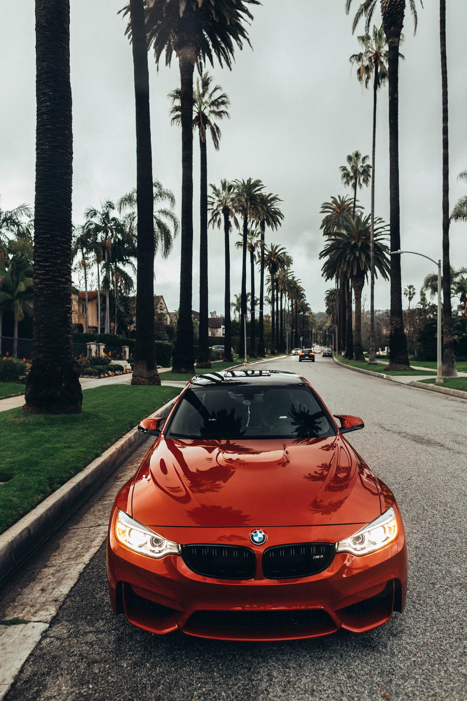 2008 Z4 M Coupe, Imola over Black